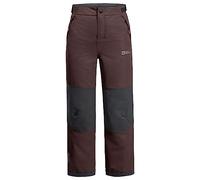 Jack Wolfskin Actamic 2l Ins Pants Marron 164 cm Garçons