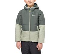 Jack Wolfskin Enfants Unisexes Two Hills Ins K Veste, Slate Green, 140 EU