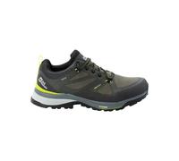 Jack Wolfskin Homme Force Striker Texapore Low M Chaussure de Marche, Vert Citron et Vert foncé, 41 EU