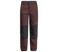 Jack Wolfskin Rascal Winter Pants K Pantalon de randonnée Mixte Enfant, Framboise, 140 cm