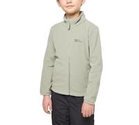 Jack Wolfskin Taunus Jacket K Blouson de Polyester molletonné, Mint Leaf, 104 garçon