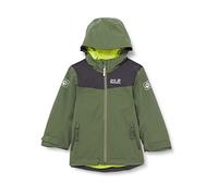 Jack Wolfskin Veste de snowfrost Unisexe pour Enfant, Vert thym, 128 cm