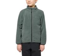 Jack Wolfskin WINTERSTEIN JACKET K, Veste Enfants unisexes, slate green/black,