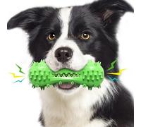 JACKANNA Brosse à dents pour chien - Jouet à mâcher - Os avec manche - Pour se brosser les dents, mâcher les dents - Petit, moyen et grand chien - Vert