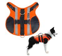 Jackanna Gilet de sauvetage pour chien de petite, moyenne et grande taille - Design réglable - Gilet de sauvetage flottant pour animaux de compagnie - Orange - 2XL