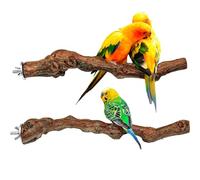 Jackanna Parrot Bird Standing Pole, Log Apple Grape Wood Standing Stick, Bird Claw Sharpening Perch Stand, Bird Cage Accessory for Cone-Tailed Parrotlet Exercise Training (Kombi 1, 2,5 x 25 cm)