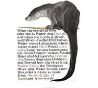 Jackie Morris The Names of the Otter Poster (Jackie Morris Posters) - [Version Originale] Inconnu (Auteur)