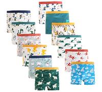 JackLoveBriefs Calecon Enfant Boxer Enfant Garcon Dinosaures Coton Lot de 12, 4-5 Ans, Bleu, Taille M