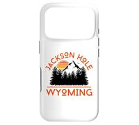 Jackson Hole Coque pour iPhone 17 Pro