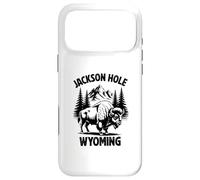 Jackson Hole Wyoming Souvenir Homme Femme Rappel Coque pour iPhone 17 Pro Max