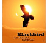 Jaco Pastorius & Rashied Ali - Blackbird