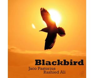 Jaco Pastorius & Rashied Ali - Blackbird