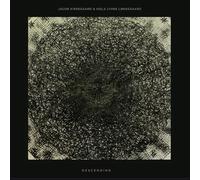 Jacob Kirkegaard & Niels Lyhne Løkkegaard - Descending [VINYL]