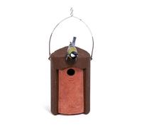 Jacobi Jayne Schwegler 1B Nichoir à Oiseaux avec Trou d'entrée de 32 mm pour Oiseaux Sauvages et de Jardin