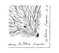 Jacquemus - Le Foulard Herisson - Femme - Accessoires - Blanc - Taille: ONE Size