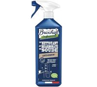 JACQUES BRIOCHIN - Nettoyant Anti-Odeur au Bicarbonate de Soude - Multi-Surfaces - Nettoie et Désodorise - Parfum Verveine - Certifié Ecocert - Fabriqué En France - 750mL