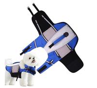 Jacques De Sauvetage pour Chiens - Veste De Sécurité pour Animaux De Compagnie Respirante | Veste Sûre pour Chiens Réglable avec Poignée | Support du Mur avec Petite pour pour
