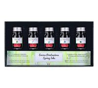 Jacques Herbin 18501T - Coffret de 5 flacons d'encre 10 ml pour stylo-plumes et stylos roller, couleurs assorties printanières. Fabriqué en France