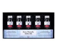Jacques Herbin 18504T - Coffret de 5 flacons d'encre 10 ml pour stylo-plumes et stylos roller, couleurs assorties hivernales. Fabriqué en France