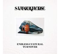 Endless Cultural Turnover