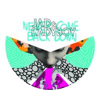 JAD & THE LADYBOY - NEVER COME BACK DOWN VINYL LP SINGLE NEUF