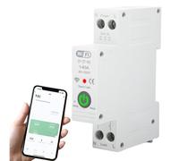 Jadeshay Disjoncteur Connecté WIFI Interrupteur Connecté Tuya 1P 63A DIN Rail Compteur Electrique Consommation Wattmetre avec télécommande for Maison Intelligente(Gray)