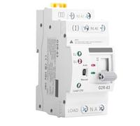 Jadeshay Interrupteur de Transfert Automatique, Rail Din G2R Domestique 2P 63A ATS Commutateur de Transfert Automatique à Double Puissance Commutateurs de Sélection Électriques 220V