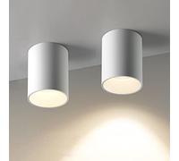 Jadssox Spot de Plafond LED 30° Lampe d'Accent Montée en Surface Réglable, Lot de 2 Lumières Dirigées vers Le Bas, Éclairage d'image de Galerie, Spots de Plafond en Aluminium pour Couloir