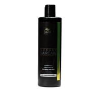 JaDy Shampooing Hydratant pour Cheveux Secs - Shampooing Réparateur et Nourrissant pour Cheveux Abîmés Enrichi en Huile d'Argan - 400 ml