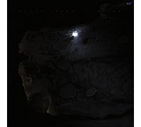 Jaeger Kassel - Aster [Import]