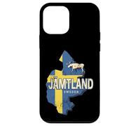 Jämtland Suède Carte rétro Province Souvenir Vintage Coque pour iPhone 12 Mini