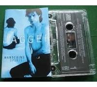Jagger, Mick - Wandering Spirit