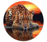 Jaguar au Coucher du Soleil - Faune Sauvage Cadeau Unique Décoration Intérieure Jeu ÉduChatif Challenge Toy Adultes & Enfants des 14 Ans 1000pcs (67.5x67.5cm)