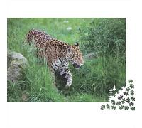 Jaguar en Herbe Puzzle 1000 Pièces Carton Premium pour Couples, Entraînement De Concentration, Loisir en Intérieur, Cadeau De Maison Neuve Idéal pour Couples 52x38cm/1000pcs
