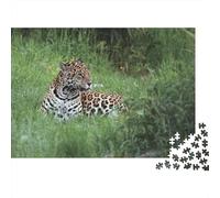 Jaguar Herbe de Repos Puzzle 1000 Pièces Carton Épais pour Adolescents 12-18, Entraînement De Logique, Jeu De Fête De Vacances, Cadeau D’Anniversaire Attentionné 52x38cm/1000pcs