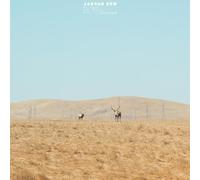 Jaguar Sun - For You [Vinyl Lp]