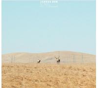 Jaguar Sun - For You