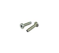 Vis frein à disques Jagwire Workshop Shimano New XTR Needle for Jagwire Hose 10pcs Argenté