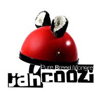 Jahcoozi - Pure Breed Mongrel