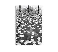 JAHER M.C. Escher Peintures d'art - (Trois mondes) affiches d'art cool peinture art mural impression sur toile décoration d'intérieur idée cadeau 50 x 75 cm