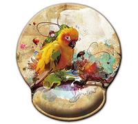 Jahosin Tapis de souris ergonomique en mousse à mémoire de forme avec support de poignet, base en caoutchouc antidérapant pour ordinateur et bureau 25x23 bird