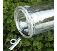 JAHQ Bâche Transparente avec Oeillets, 0.35mm Bâche Claire en PVC Imperméable à l'eau, Couverture Végétale Polyvalente pour Gazebo Extérieur Barbecue - 200cm x 400cm
