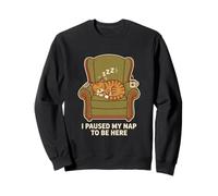 J'Ai interrompu ma Sieste pour être Ici Sieste Amusante pour Chat Sweatshirt