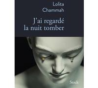 J'ai regardé la nuit tomber