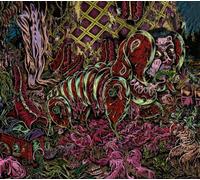 J'Ai Rien Compris mais Je suis d'accord