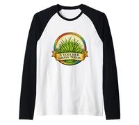 J'Ai touché Grass Today, mème Amusant pour Les Joueurs, Rainbow Manche Raglan