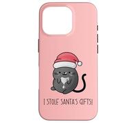 J'Ai volé Les Cadeaux du Père Noël drôle pour Les Amoureux des Chats Coque pour iPhone 16 Pro