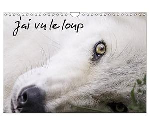 J'ai vu le loup (Calendrier mural 2027 DIN A4 vertical), CALVENDO calendrier mensuel: Loups gris et loups arctiques du Canada