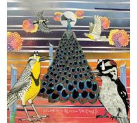 Jaimie Branch - Fly Or Die/World War