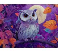 Jalican Peinture Numero Adulte, DIY Peinture Numero Débutants 20x30cm Paint by Numbers Loisirs Créatifs Adultes avec 3 Pinceaux Pour la Décoration de la Maison, Cadeau Homme Femme rêve hibou L0-375